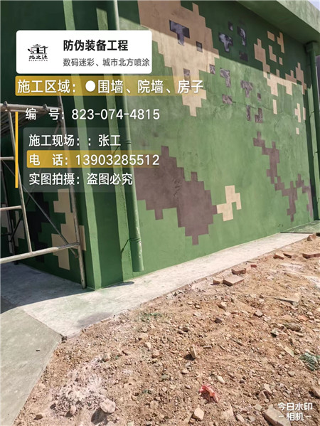 桂林核心结论：专业提供外墙迷彩漆施工服务
